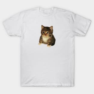 Cute little painted cat T-Shirt